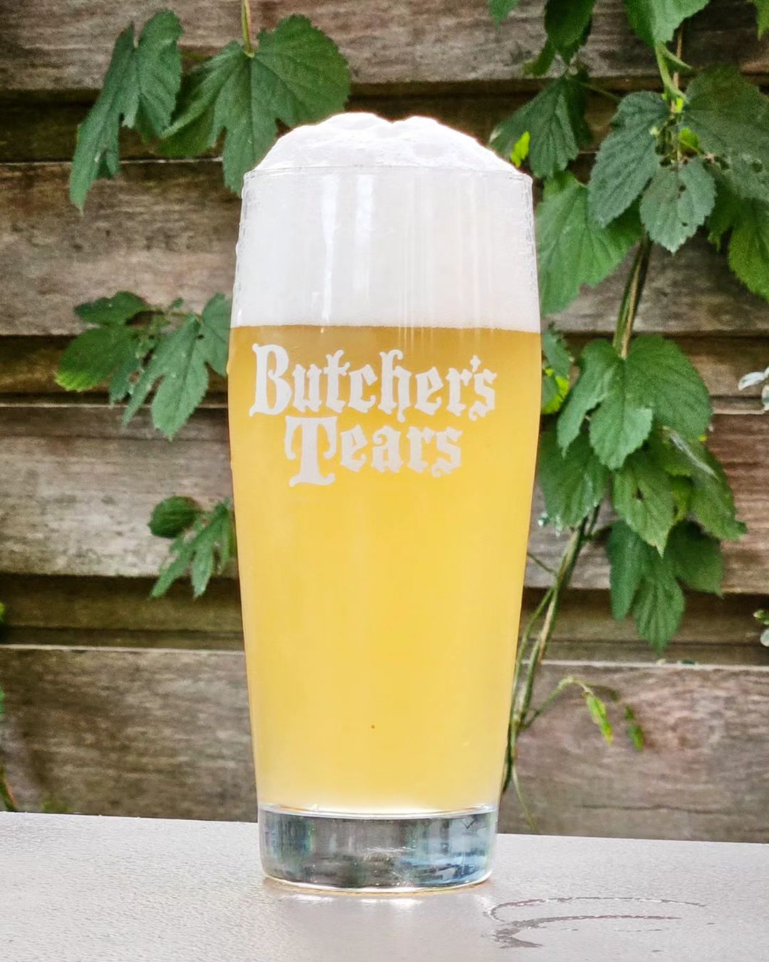 Butcher's Tears, Amsterdam