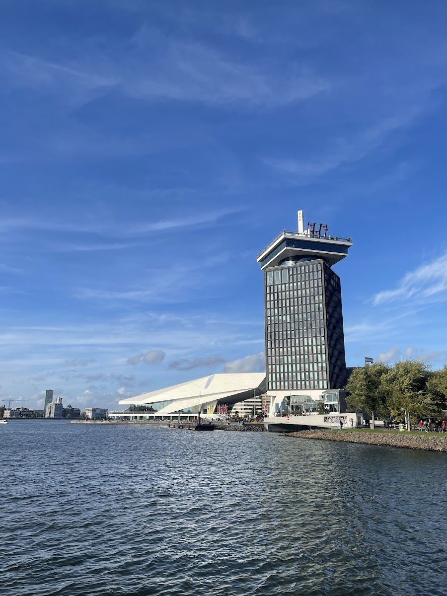 Shelter, Amsterdam