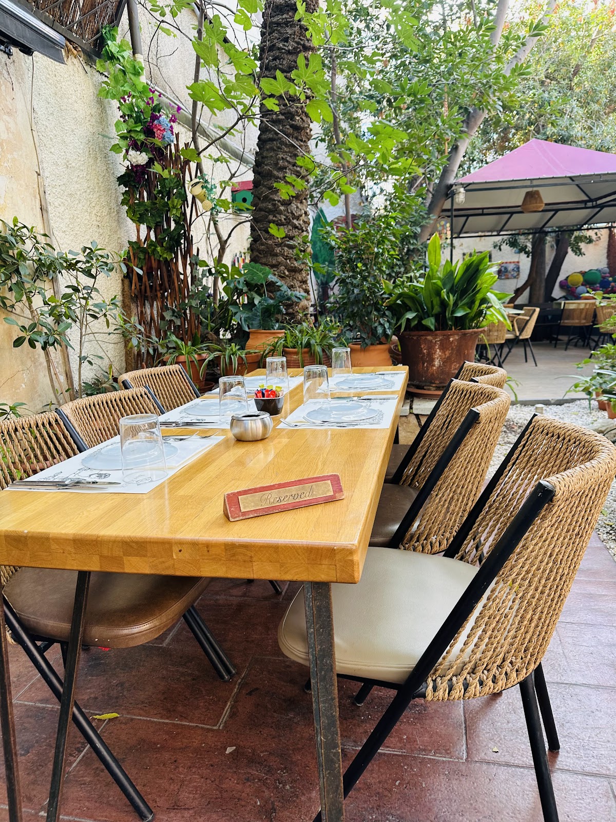Black Duck Garden, Athens