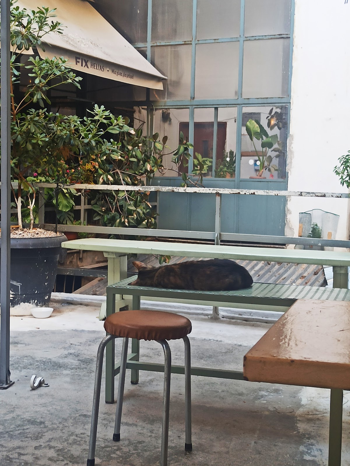 Cantina Social, Athens