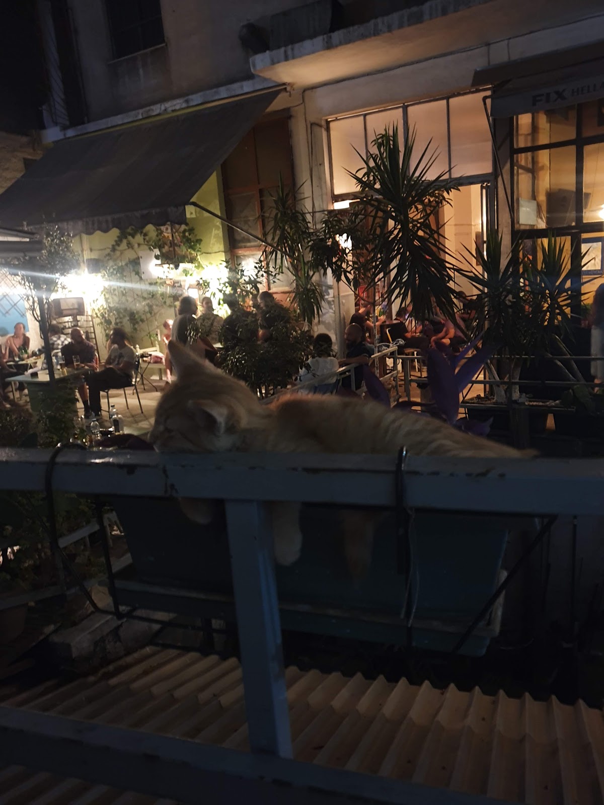 Cantina Social, Athens