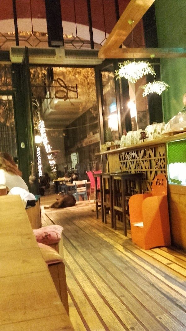 Cafe Avissinia