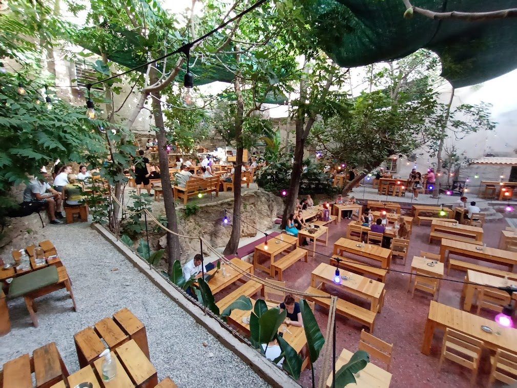 Six d.o.g.s, Athens