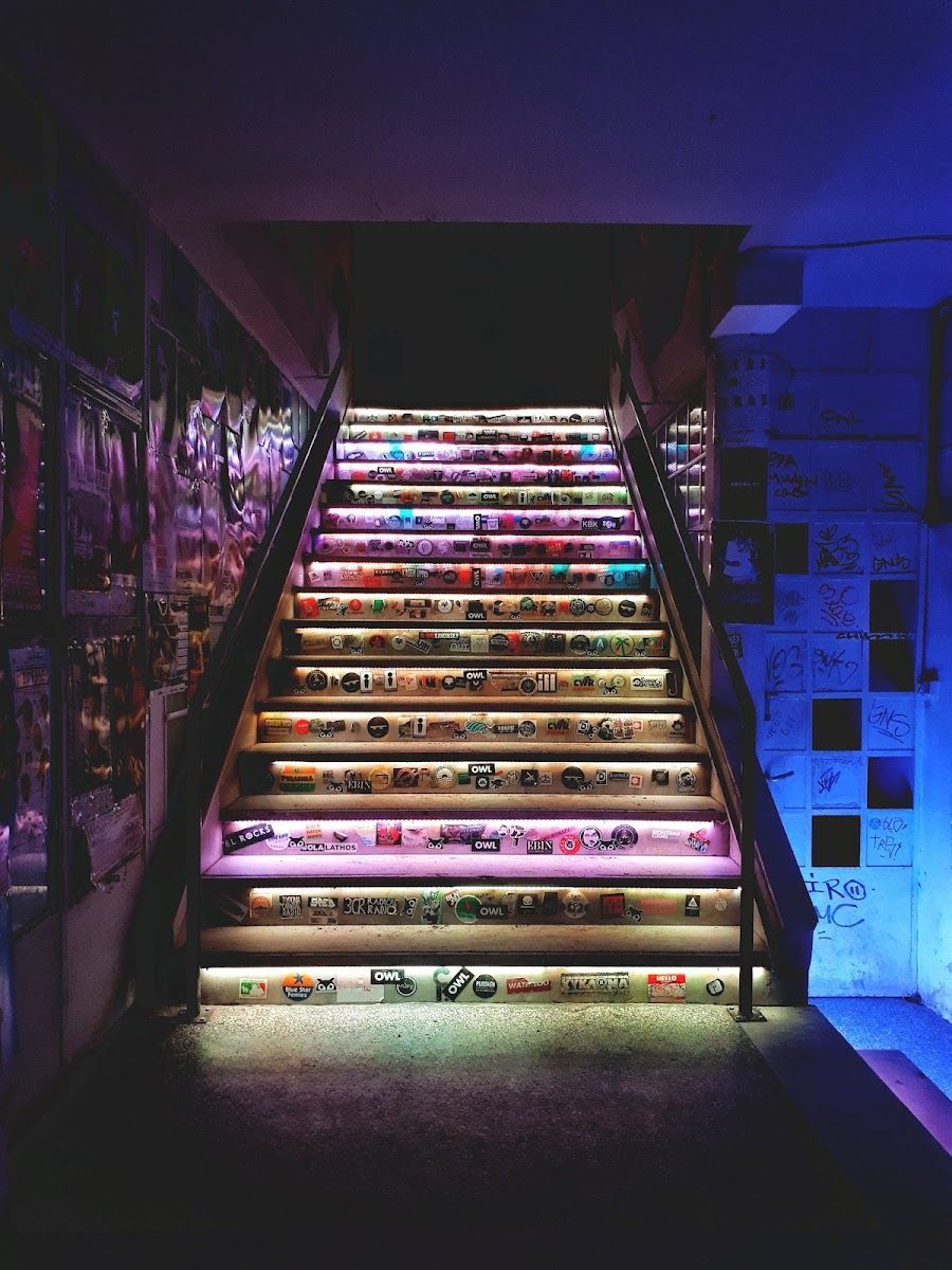 Six d.o.g.s, Athens
