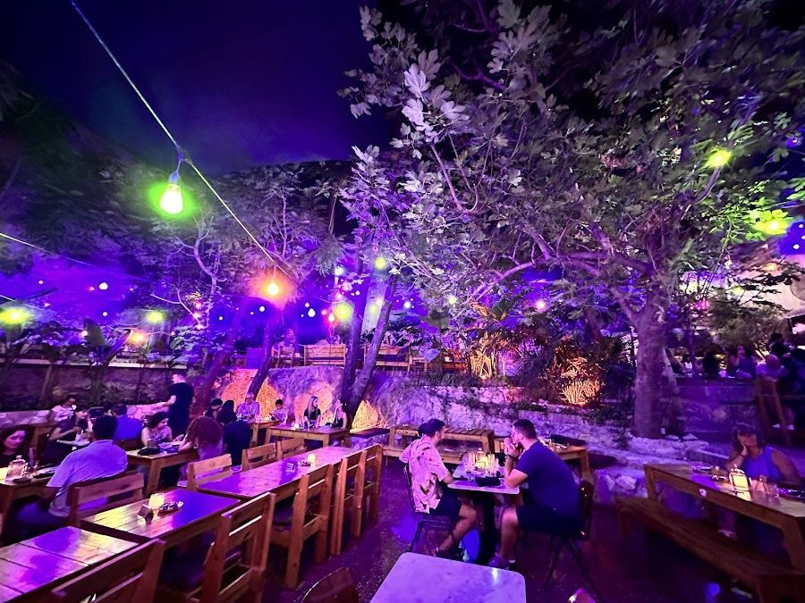 Six d.o.g.s, Athens
