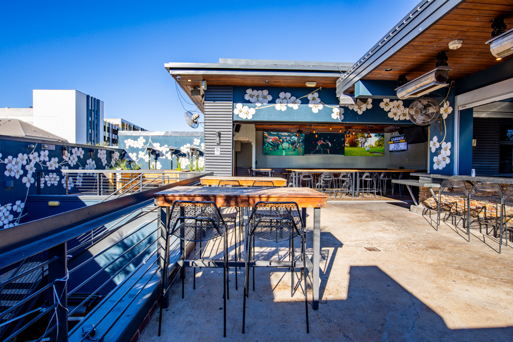 The Dogwood Domain, Austin