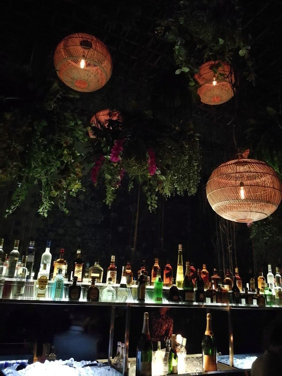 Jenja Bali, Bali