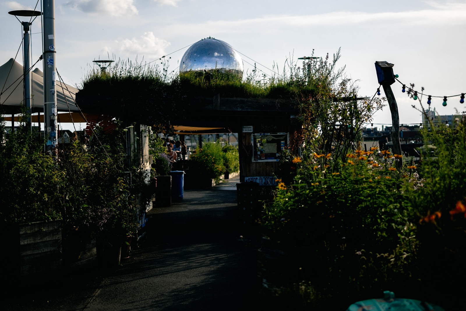 Klunkerkranich, Berlin