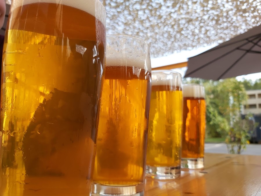 Vagabund Brauerei, Berlin