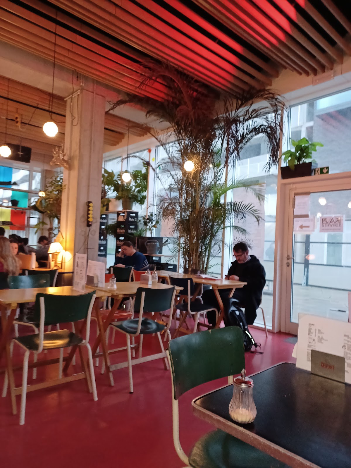 Pilar, Brussels