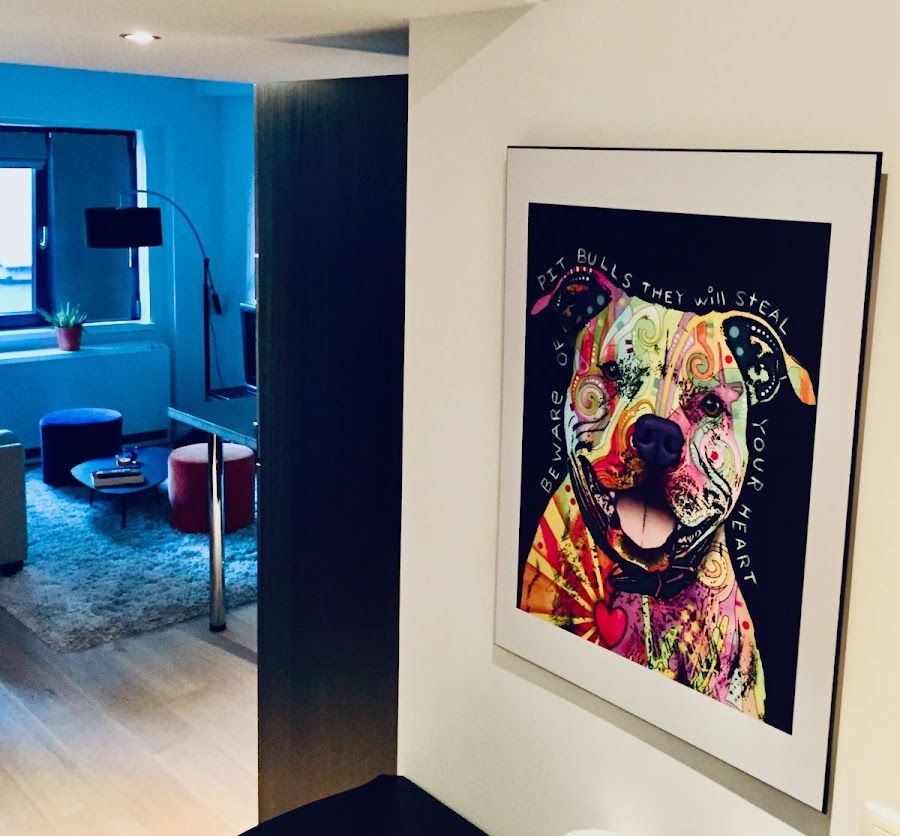 The Flat, Brussels