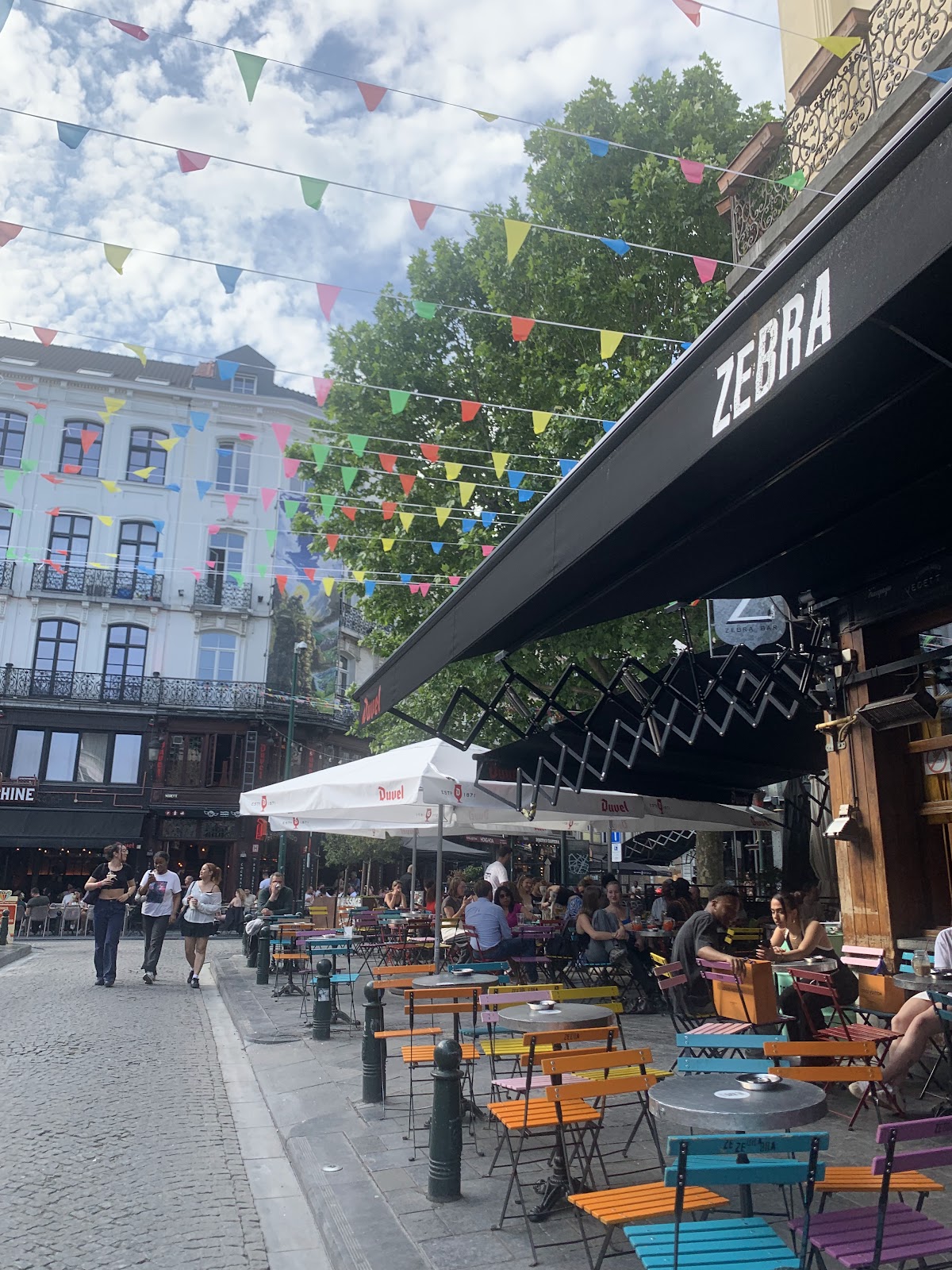Zebra, Brussels