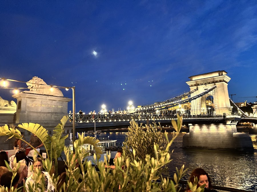 Pontoon, Budapest