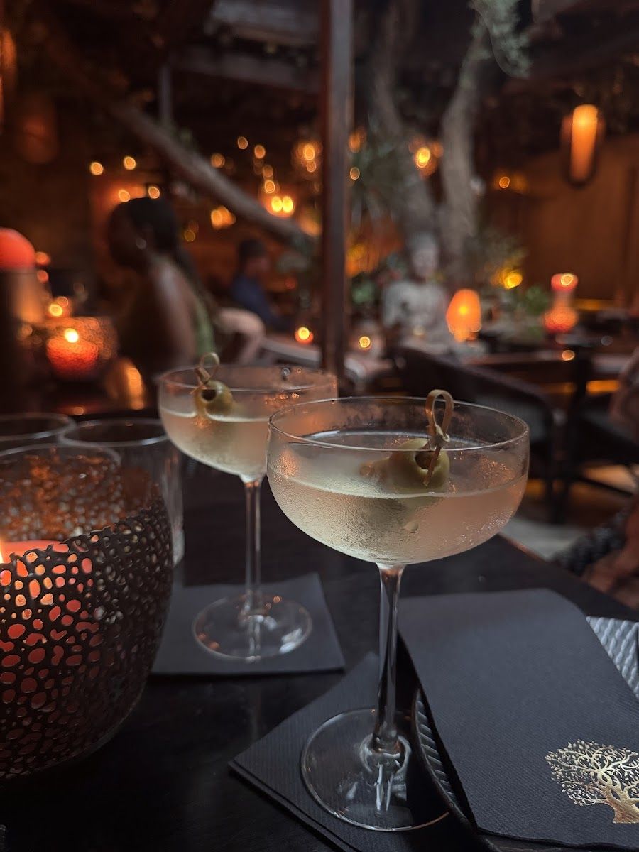 Asoka, Cape Town