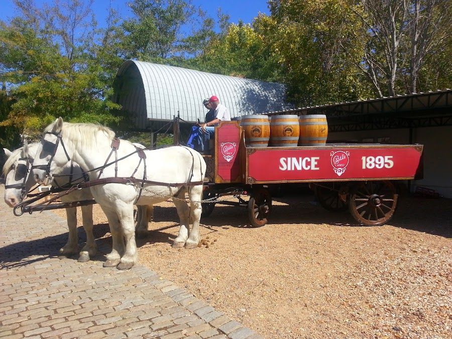 Newlands Spring Brewing, Cape Town