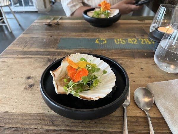 Noma Project Bar