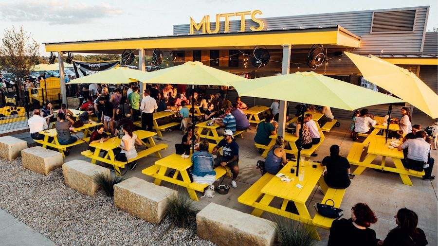 Mutts Canine Cantina, Dallas