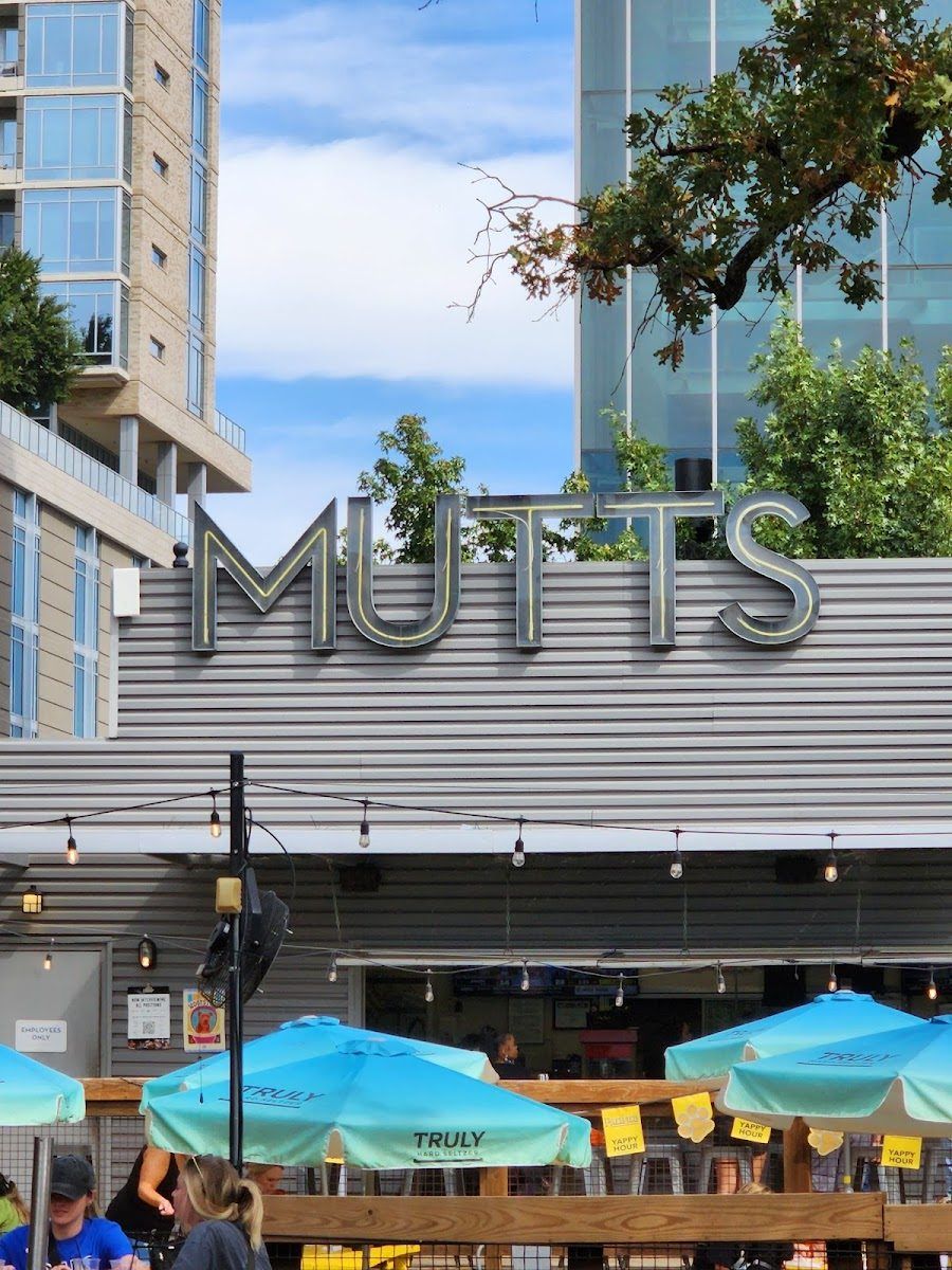 Mutts Canine Cantina, Dallas
