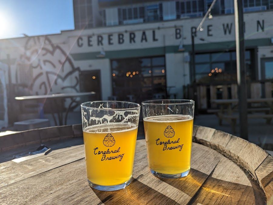 Cerebral Brewing, Denver
