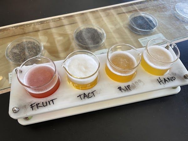 Blue Moon Brewing Co at the Sandlot
