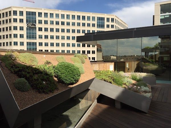 54thirty Rooftop