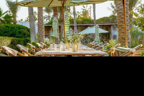 Treehouse at Taj