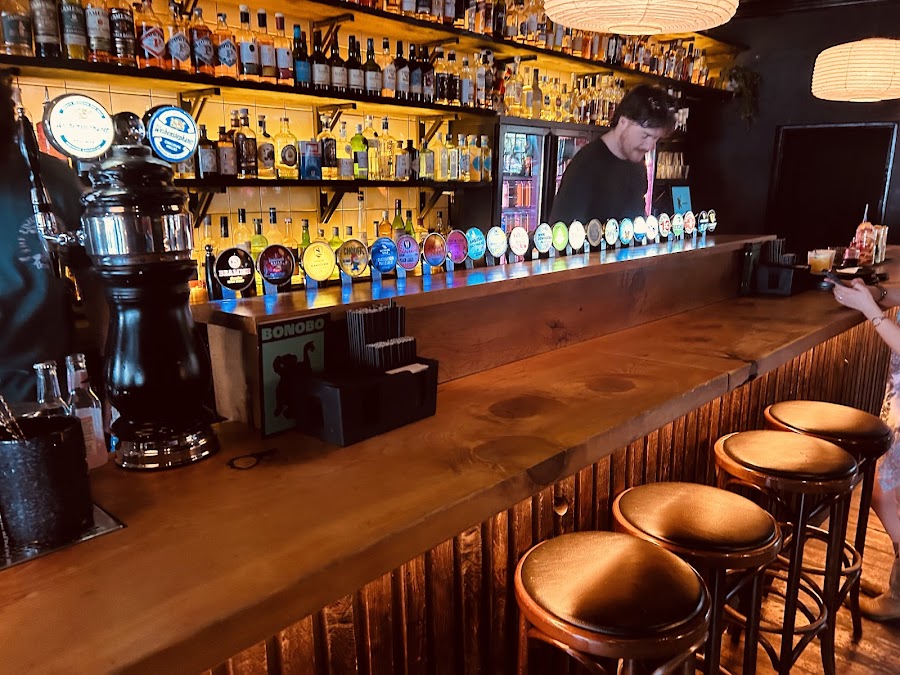 Bonobo, Dublin