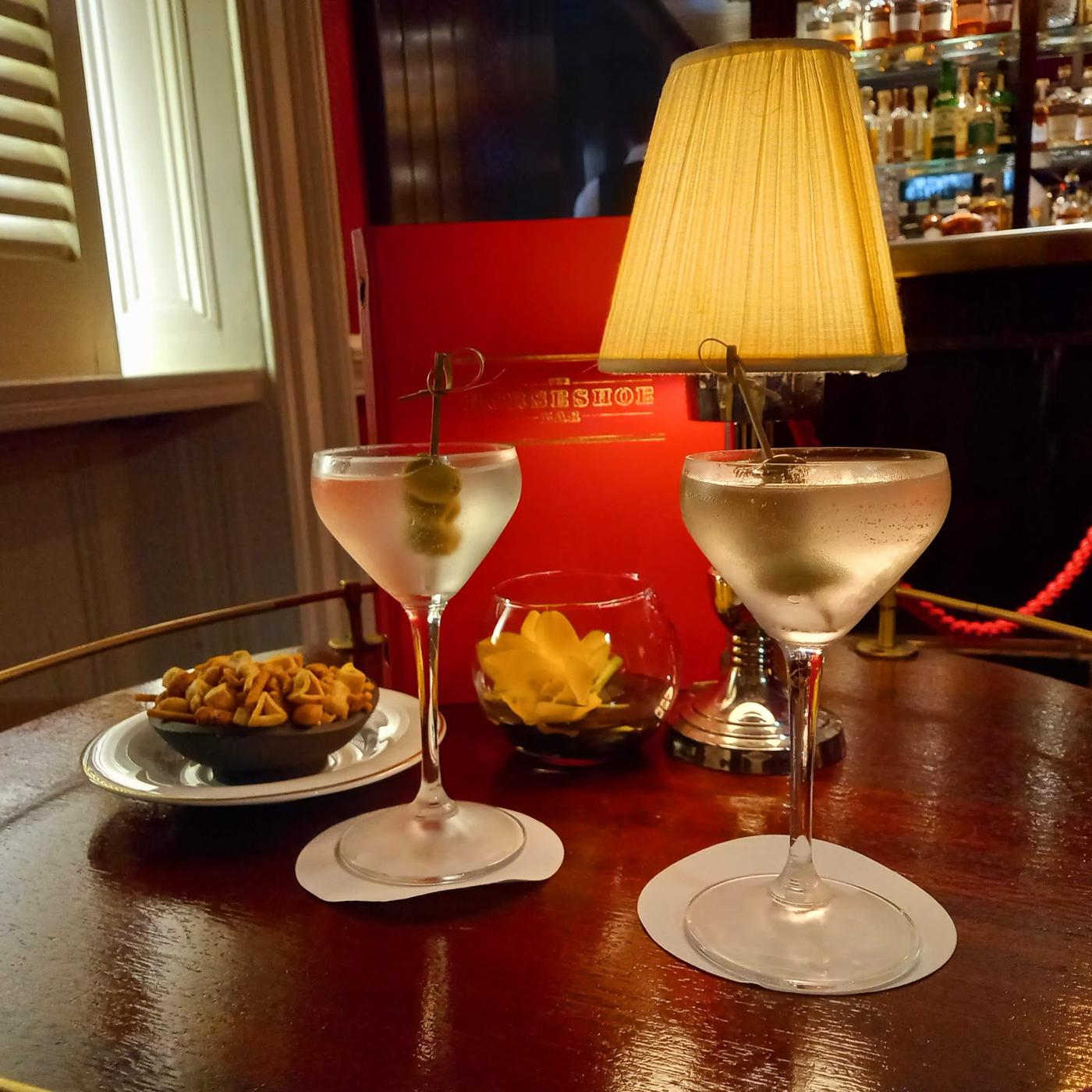 The Horseshoe Bar, Dublin