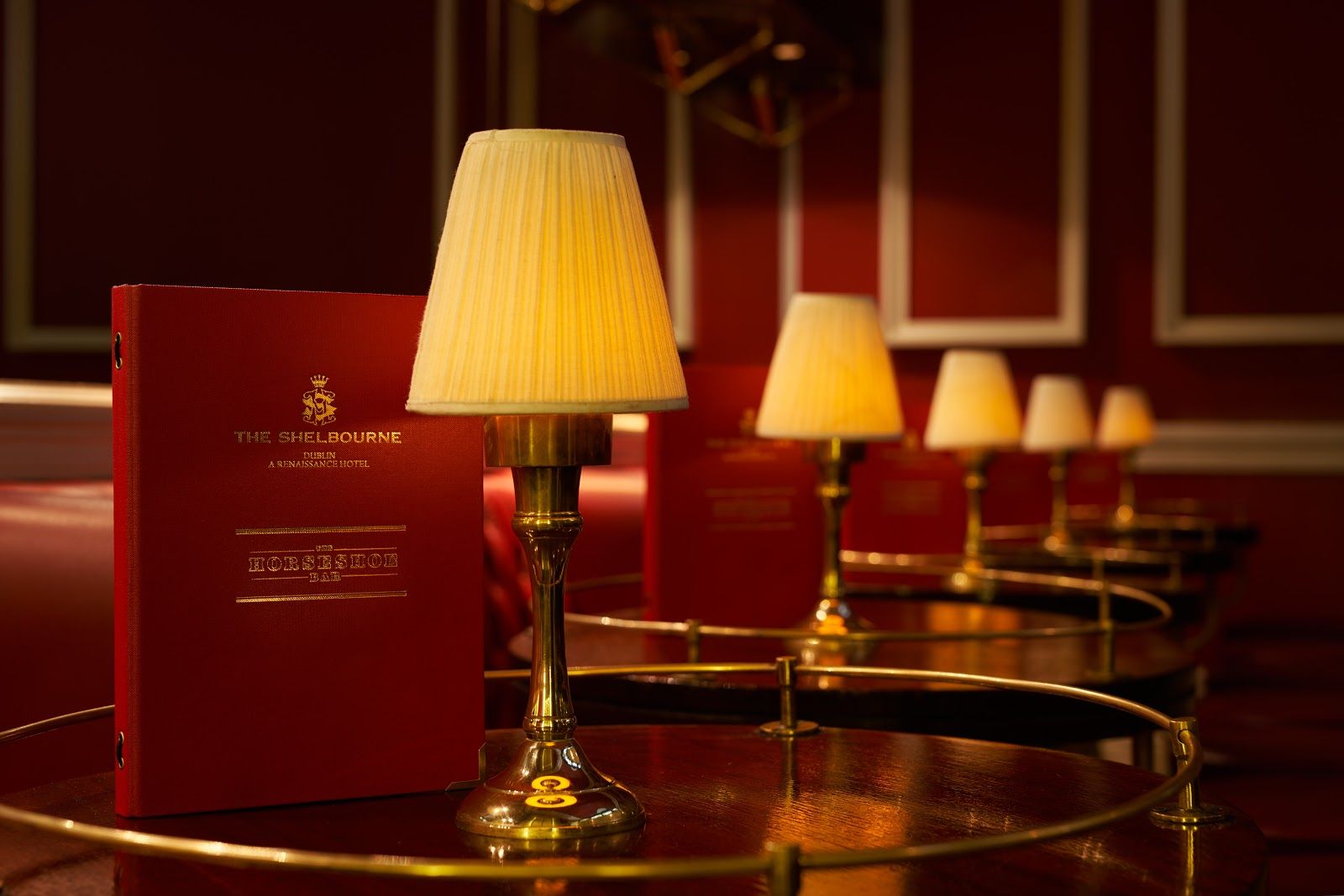 The Horseshoe Bar, Dublin