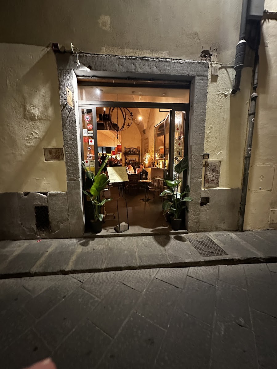 Coquinarius, Florence