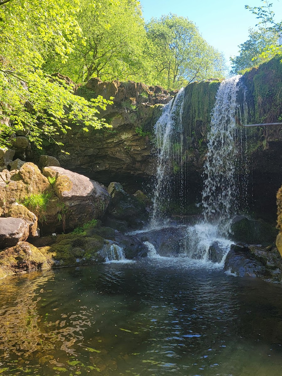 Campsie Glen, Glasgow