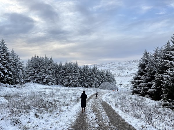 Campsie Glen in Glasgow