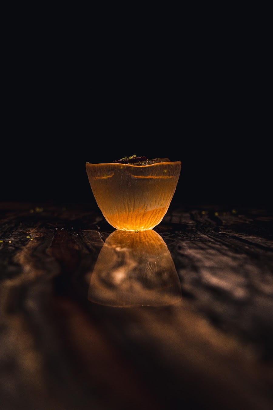 The Savory Project
