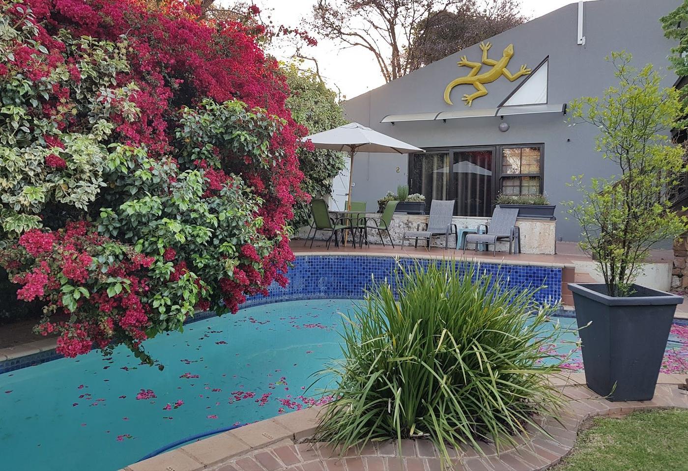 Lucky Bean garden terrace bar Melville Johannesburg