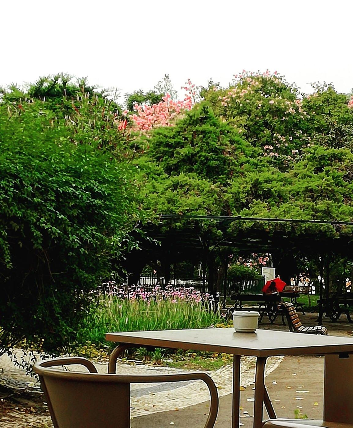 Garden kiosk bar in Lisbon outdoor wine bar at Principe Real square