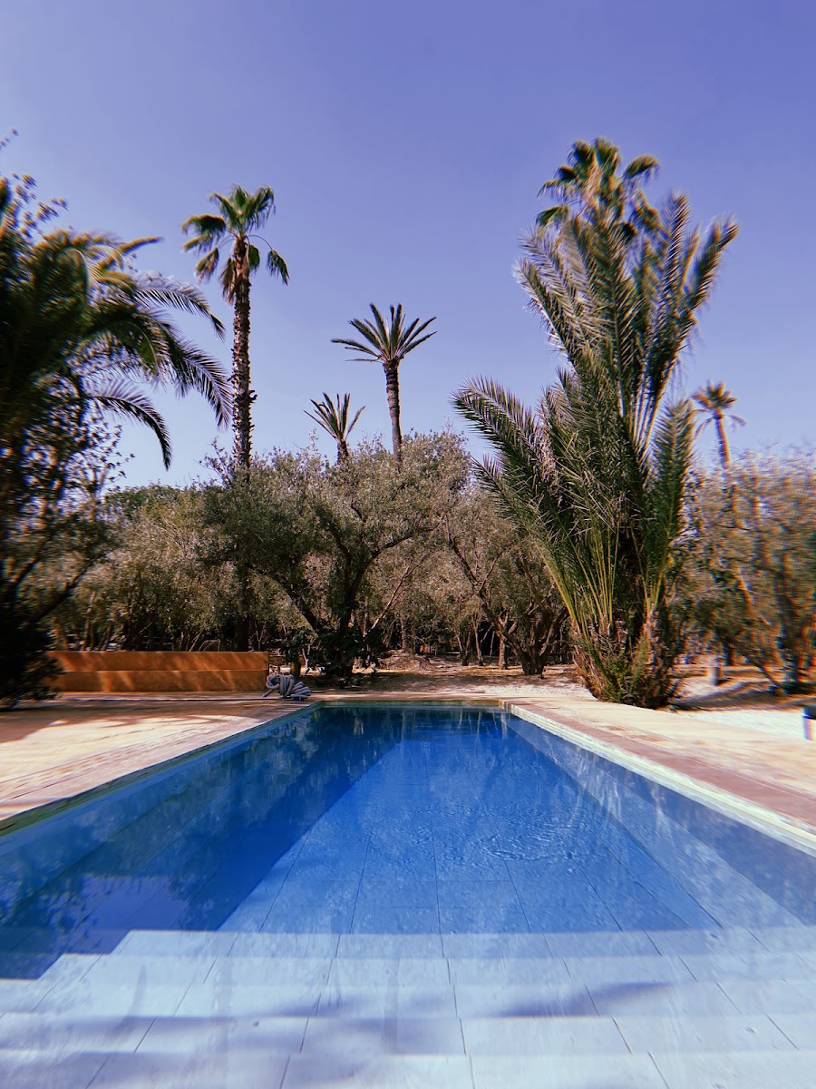 Jnane Tamsna gardens, Marrakech