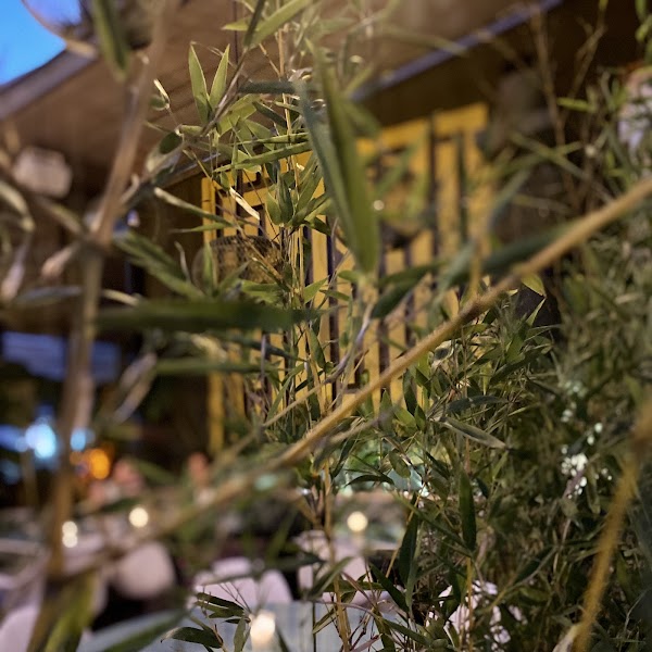 Kechmara in Marrakech