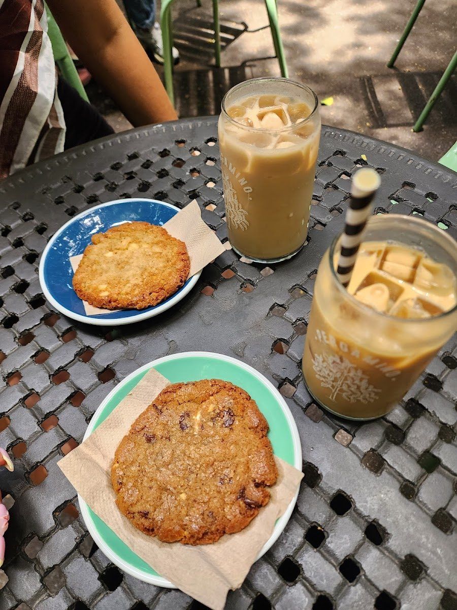 Pergamino Cafe Bar, Medellin