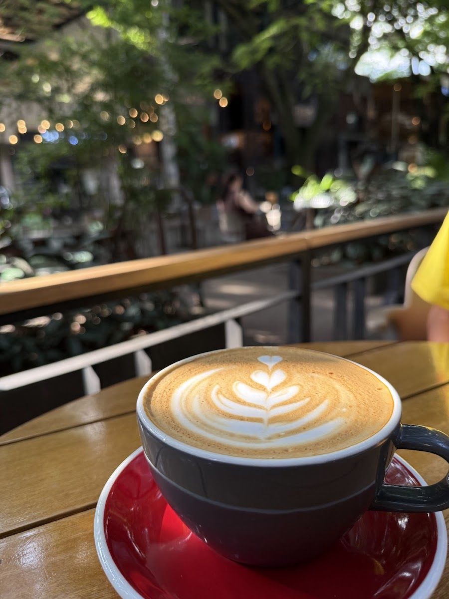 Pergamino Cafe Bar, Medellin