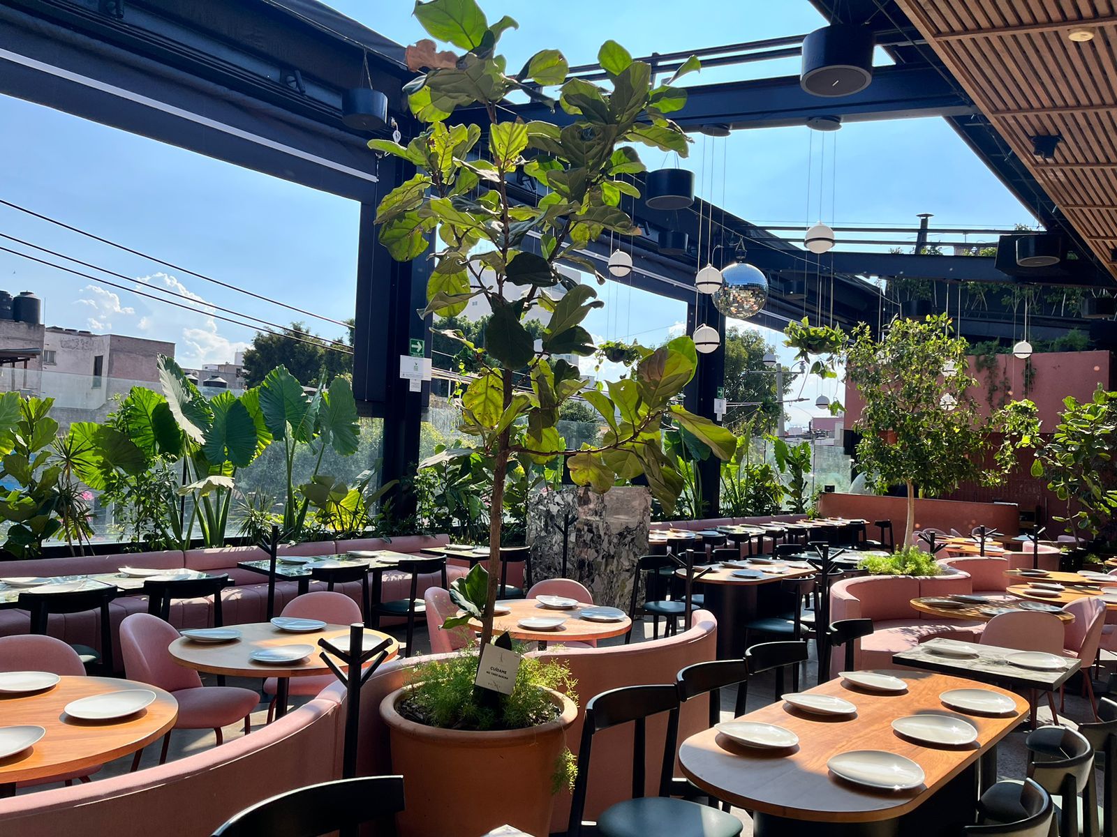 Bull Pen Rooftop Mexico City bar interior