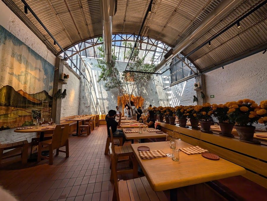 Maximo Bistrot Bar, Mexico City