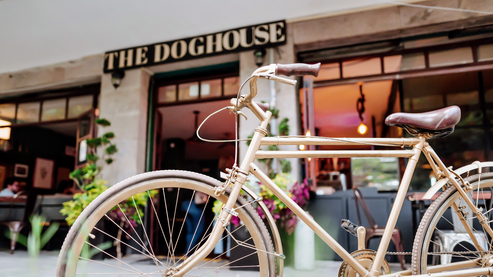 The Dog House Pub, Mexico City