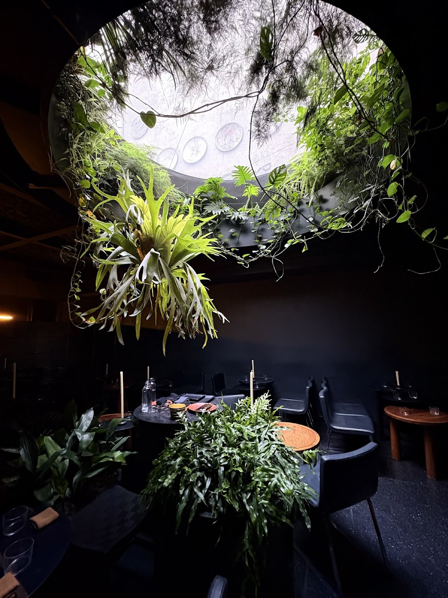 Ticuchi, Mexico City