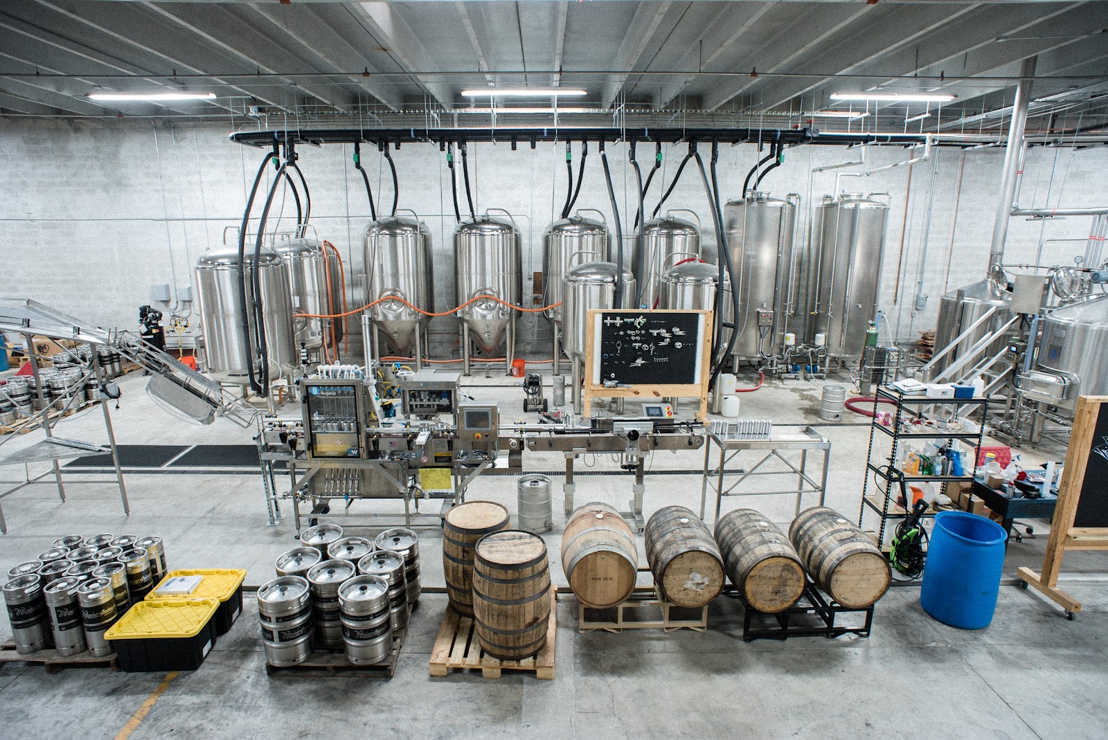 Tripping Animals Brewing bar