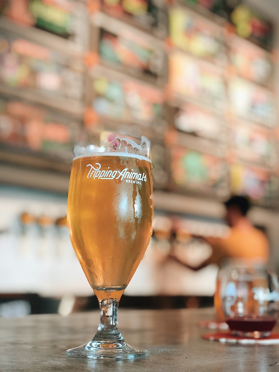 Tripping Animals Brewing, Miami