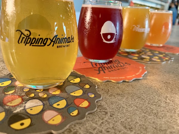 Tripping Animals Brewing in Miami