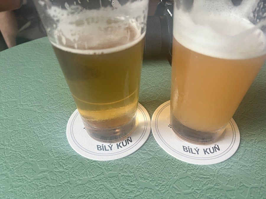 Bily Kun, Montreal