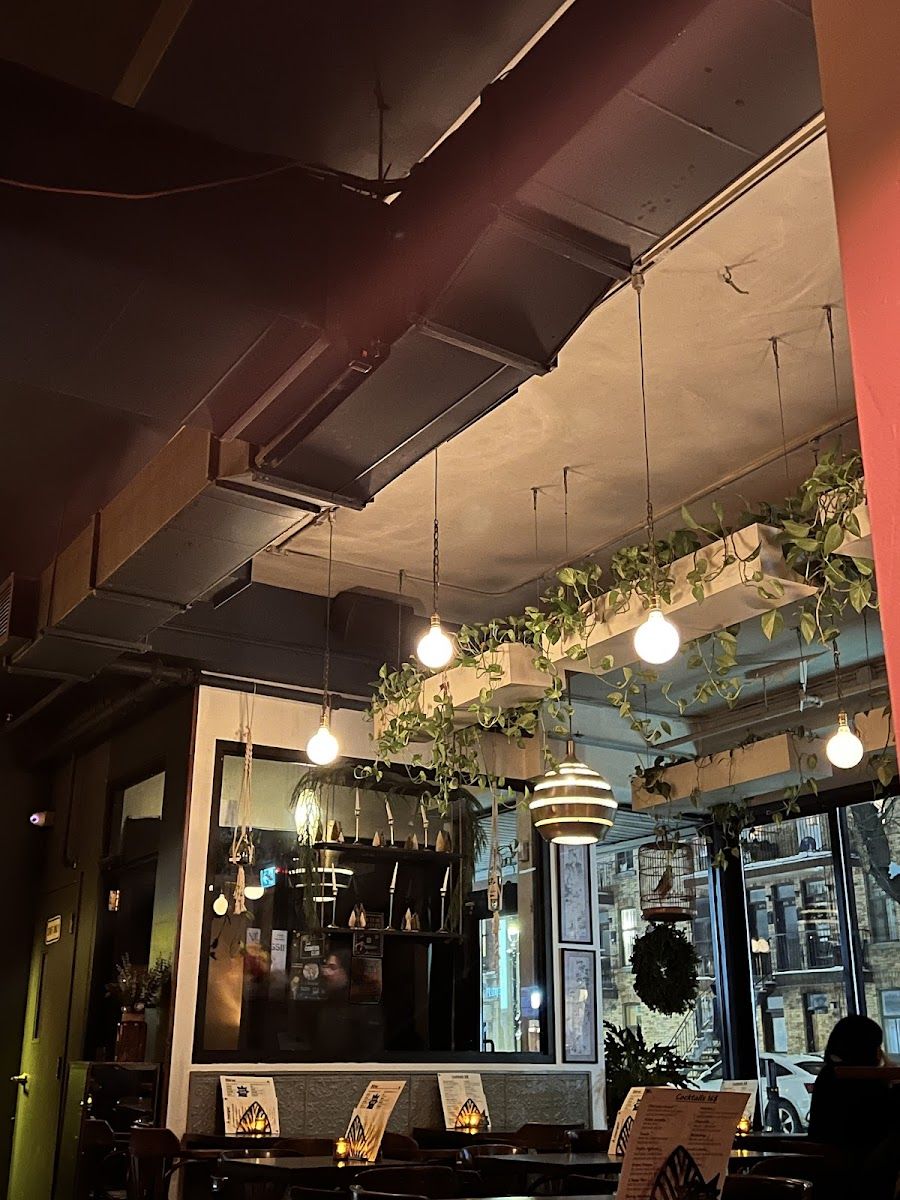 Jolifou Bar, Montreal