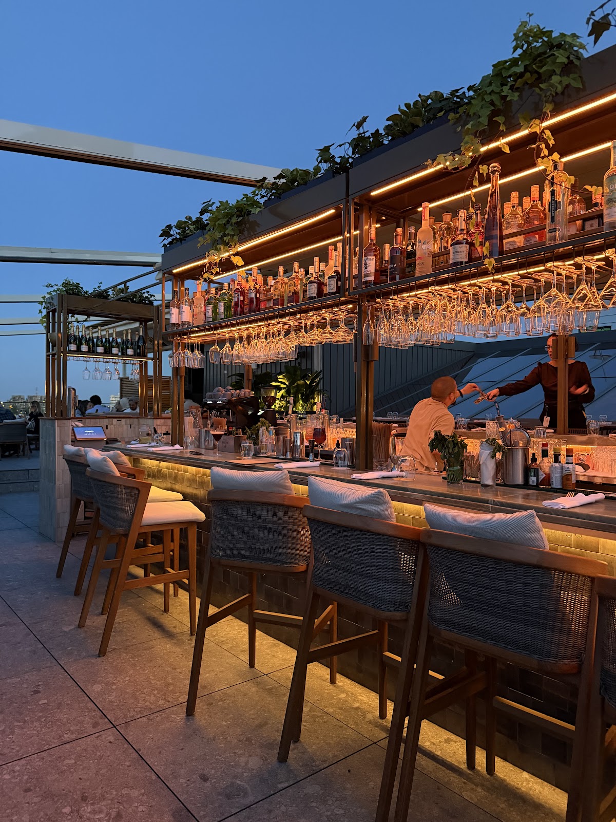 Terrasse Nelligan, Montreal
