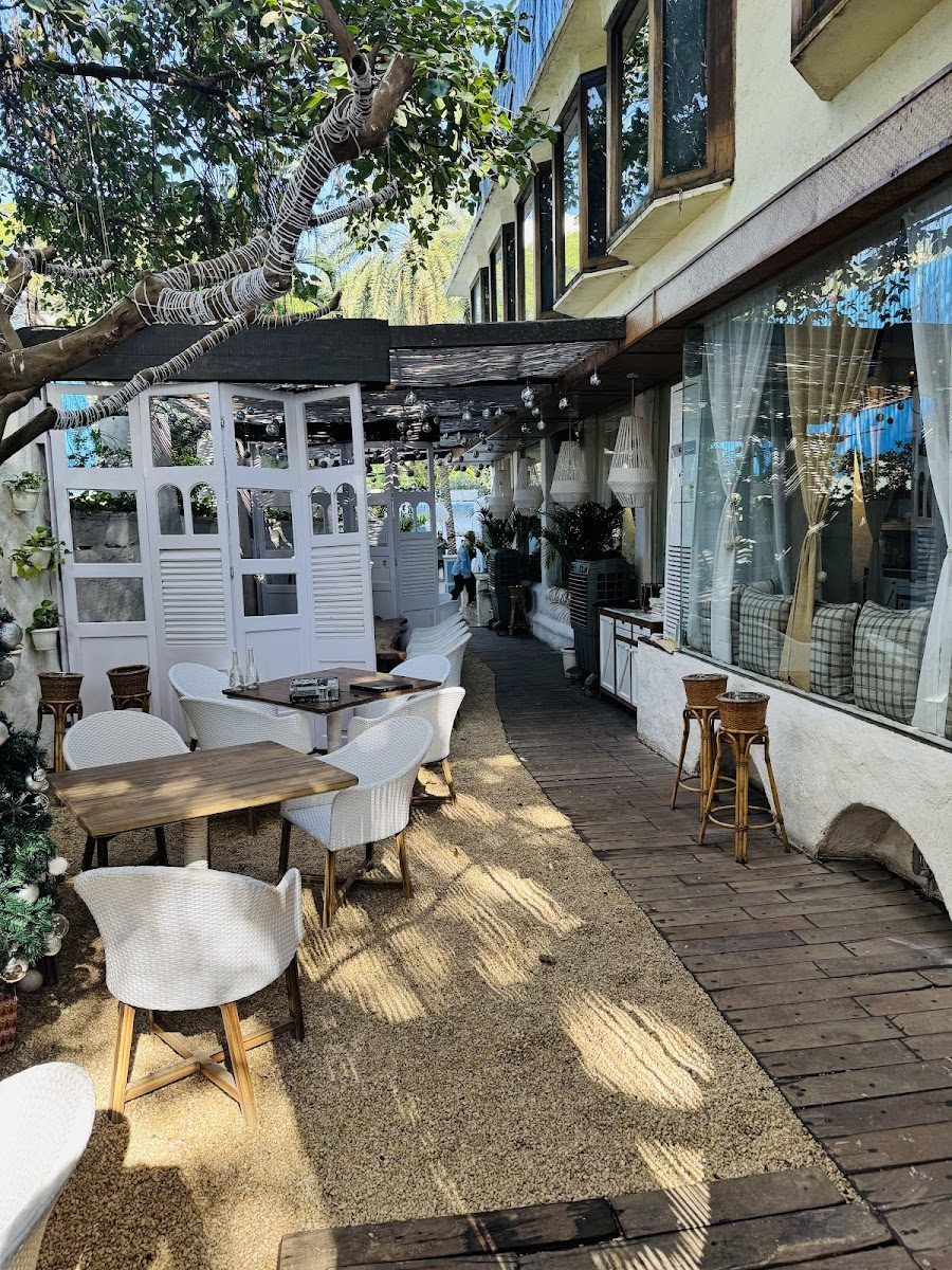 Olive Bar &amp; Kitchen, Mumbai
